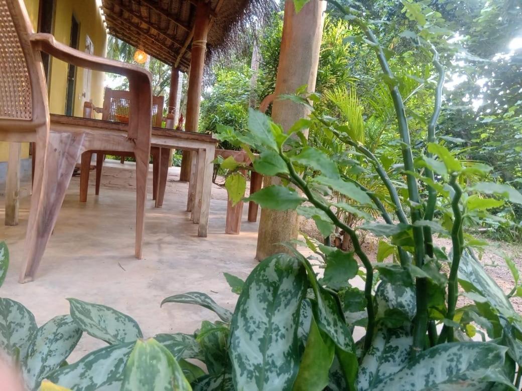 Kelaya At Hiriketiya Collection Hotel Dickwella Exterior photo