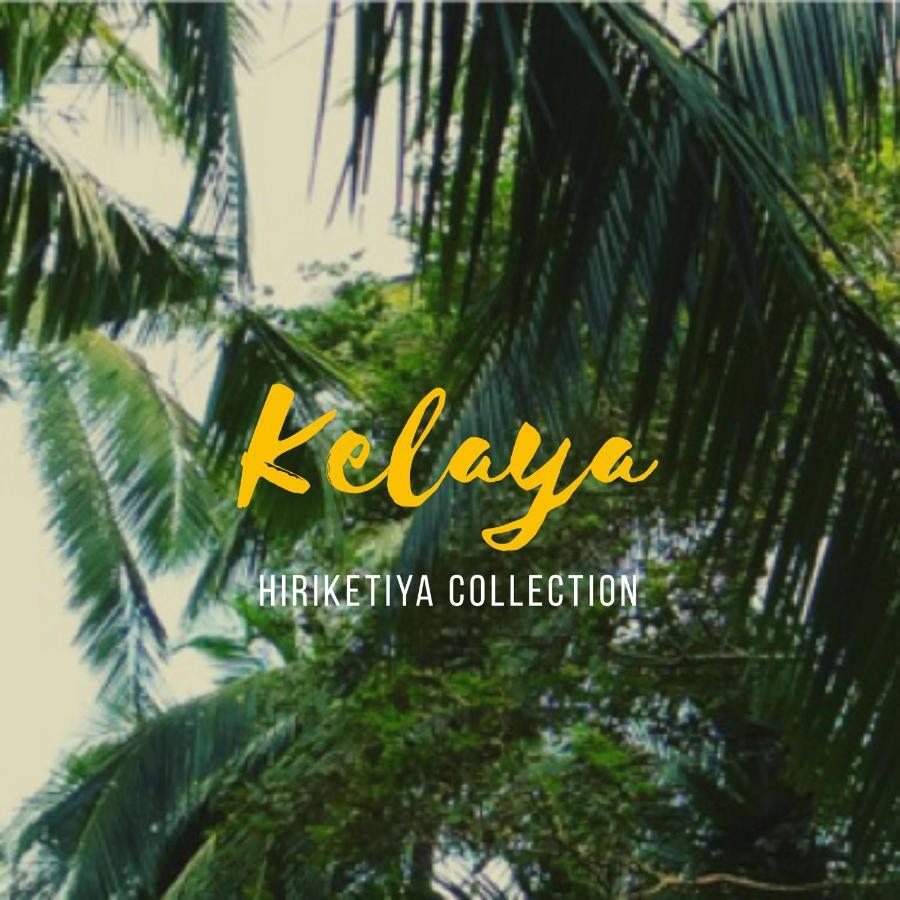 Kelaya At Hiriketiya Collection Hotel Dickwella Exterior photo